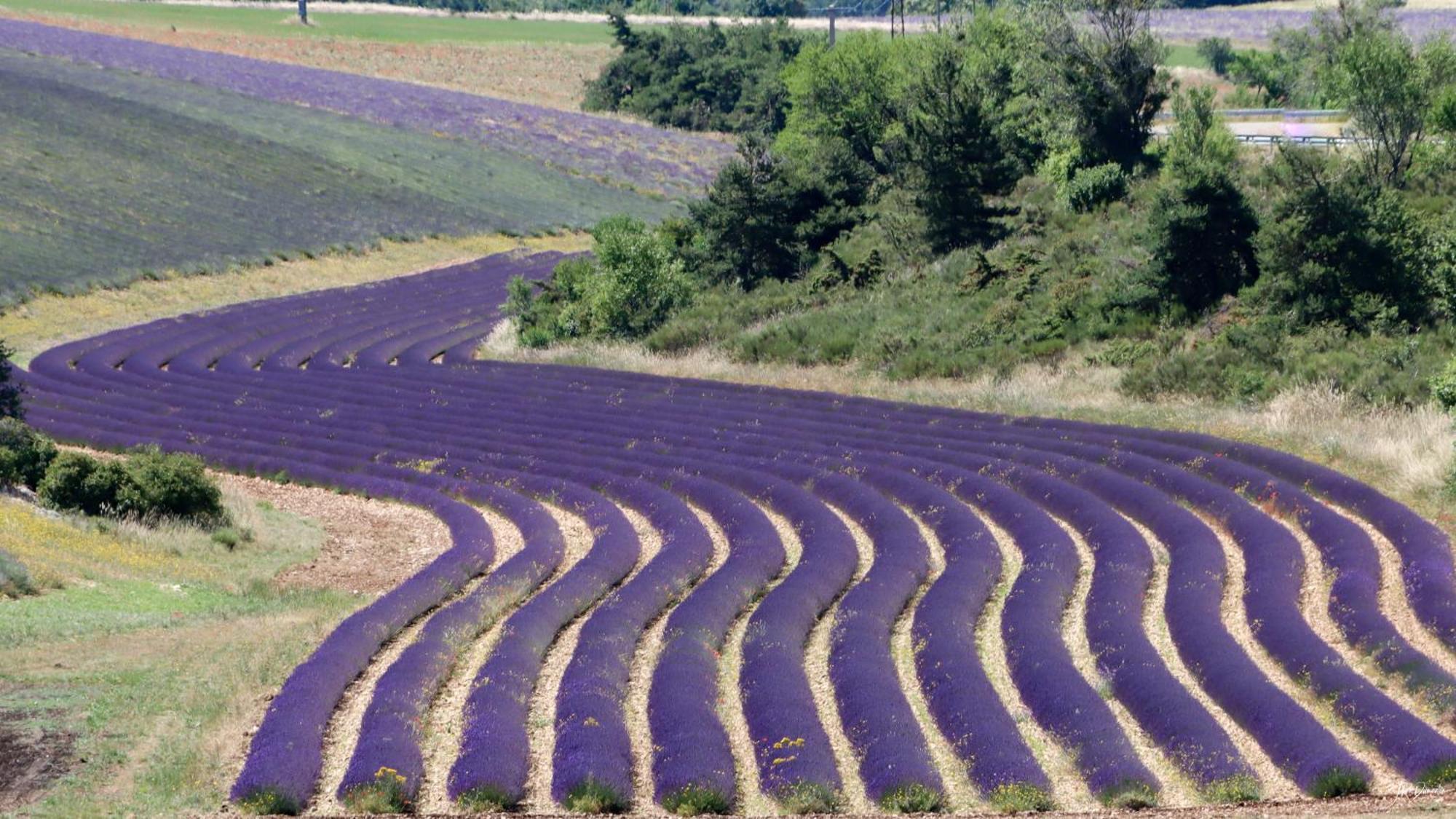 Studio Dans Le Luberon Céreste Εξωτερικό φωτογραφία